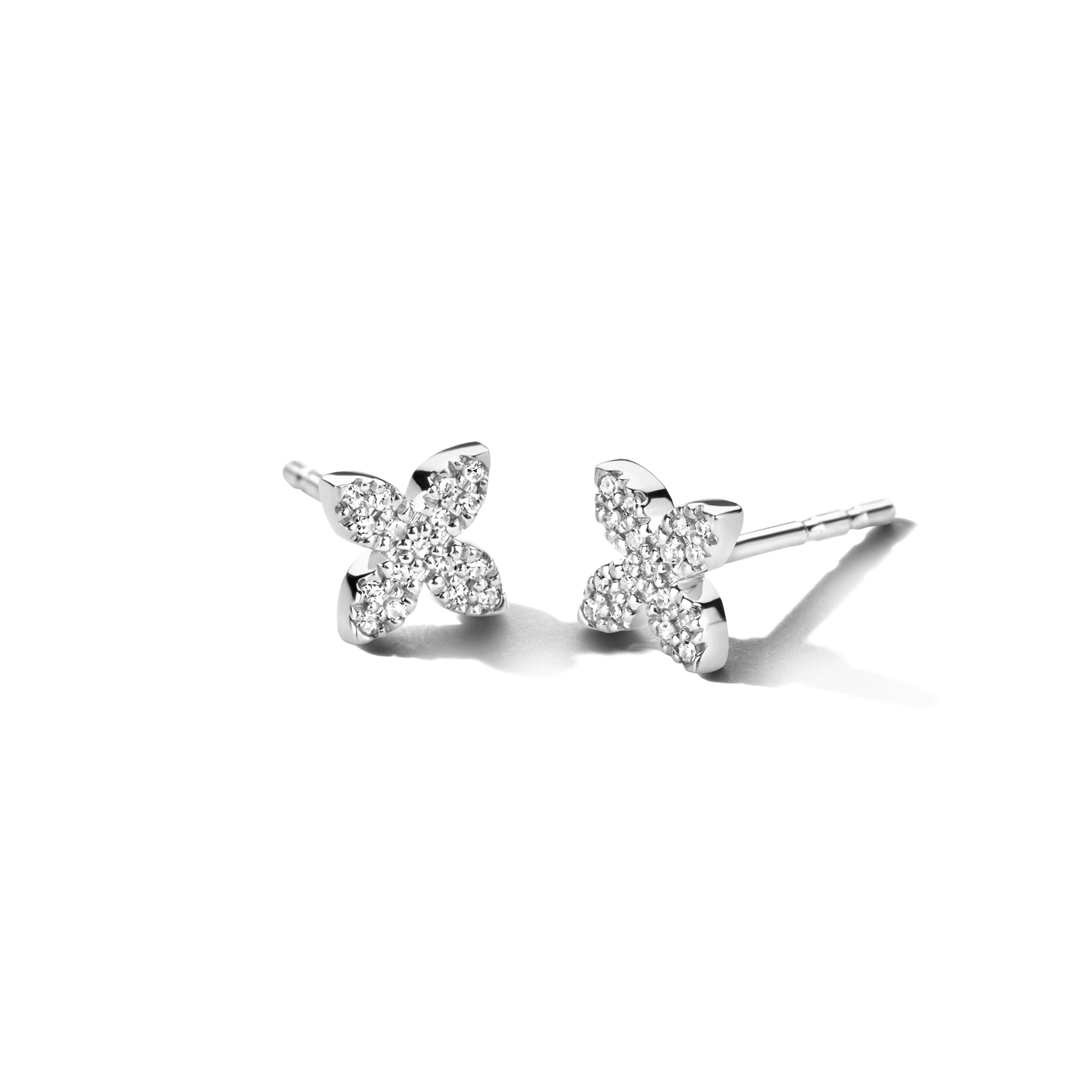 Little Flower Eyrnalokkar, Hvítagullshúð